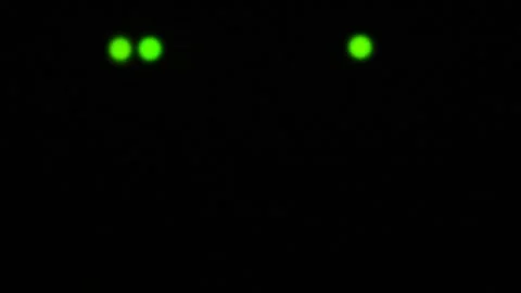 Wi-Fi router or modem light blinking. Wireless internet connection. Flashing Video stock 205036248