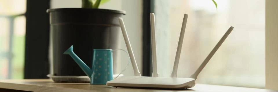 Wi-Fi router stands on table near pot-plant with big leaves Foto stock