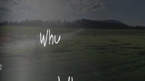Wi stroke appearing words growing question mark drawing arrows linking showing Stock Footage 329703217