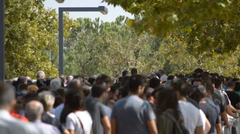 Wiating In A Huge Line In The Park Stock Footage 55393441