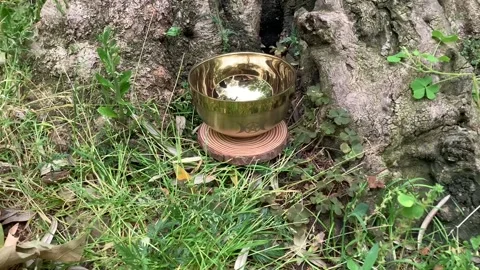 Wicca pot ceremony Stock Footage 157000413