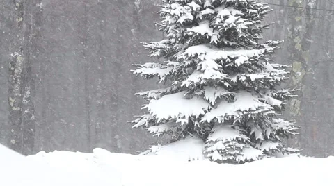 Wicked Cold Winter 動画素材 36142696