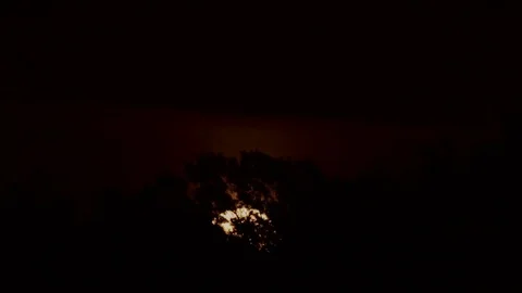 Wicked moonrise behind trees. 動画素材 118300230