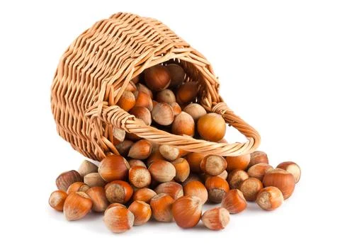 Wicker basket and hazelnuts Foto stock