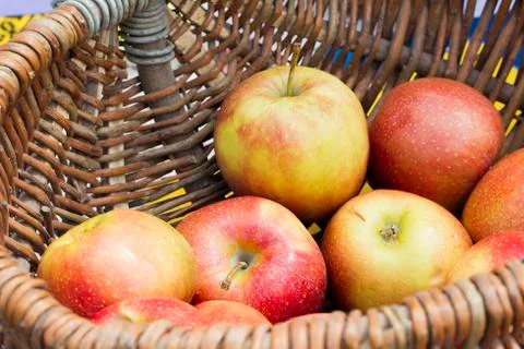 Wicker basket with apples Stock Photos