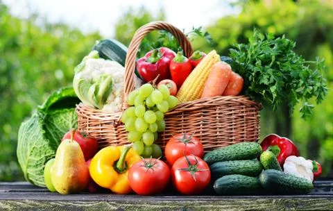 Wicker basket with assorted raw organic vegetables in the garden. Stock Photos