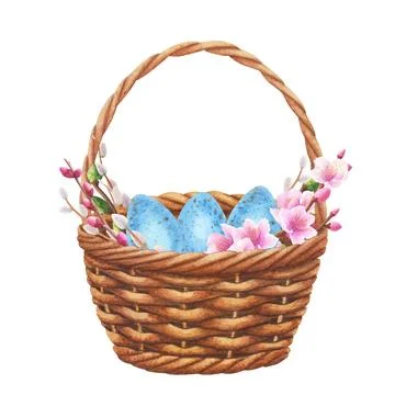 Wicker basket with blue eggs, branches sakura Hand drawn watercolor illustration Stock Illustration