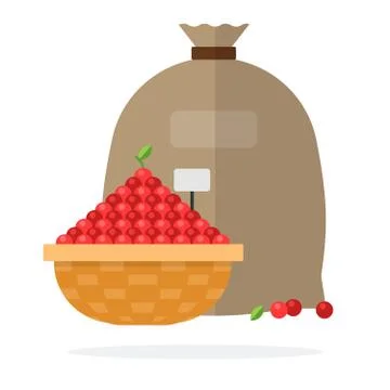 Wicker basket of cherry and Linen bag flat isolated Stock Illustration
