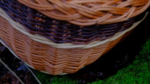 Wicker Basket Closeup in Forest Stock Footage 121750587