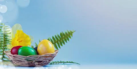 Wicker basket with colorful Easter eggs, iris flower and green leaves Stock Photos