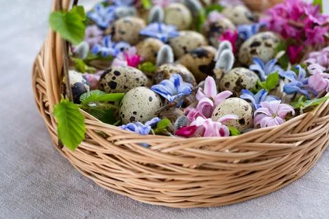 Wicker basket with Easter eggs and spring bright flowers Stock Photos