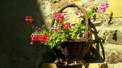 Wicker basket with flowers Stock Footage 21874371