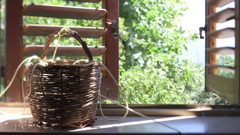 Wicker basket Stock Footage 148134372