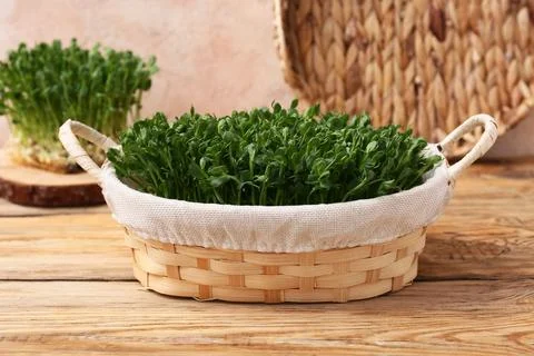 Wicker basket with fresh micro green on wooden table, closeup Stock Photos