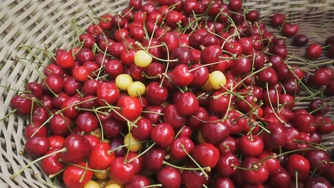 Wicker basket full of cherries 스톡 동영상 111940725