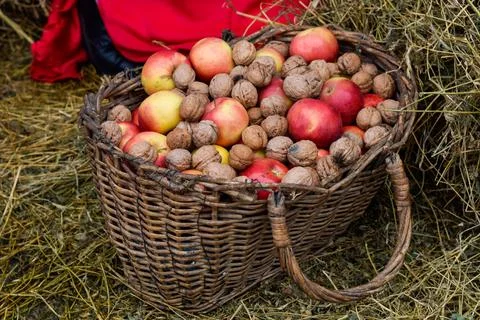 Wicker basket full of nuts and apples on natural straw background Stock Photos