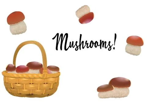 Wicker basket full of orange cap boletus and mushroom separately isolated on  Stock Illustration