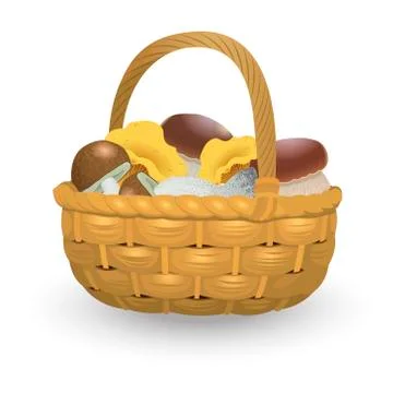 Wicker basket full of orange cap boletus and chanterelles isolated on white b Stock Illustration
