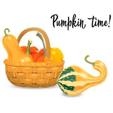 Wicker basket full pumpkins isolated on white background. Vector Illustration Stock Illustration
