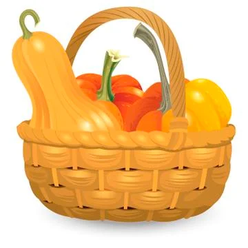 Wicker basket full pumpkins isolated on white background. Vector Illustration Stock Illustration