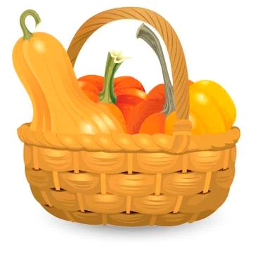 Wicker basket full pumpkins isolated on white background. Autumn harvest  Stock Illustration