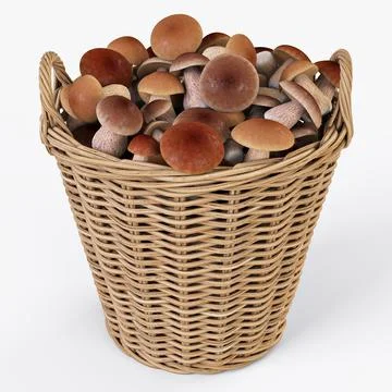 Wicker Basket Ikea Nipprig with Mushrooms 3D Model