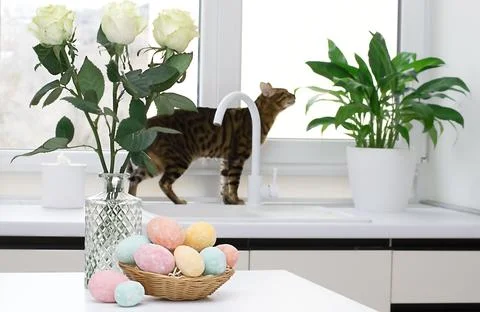 A wicker basket with multi-colored Easter eggs and a vase with white roses ag Stock Photos