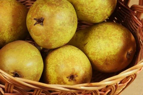 Wicker basket with pears. Stock Photos