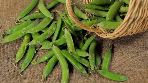Wicker basket with peas. the background of old sacking Stock Footage 61215393
