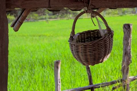 Wicker basket in rice fields Stock Photos