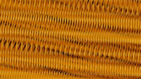 Wicker basket showcases a captivating pattern, excellent for backgrounds 스톡 일러스트