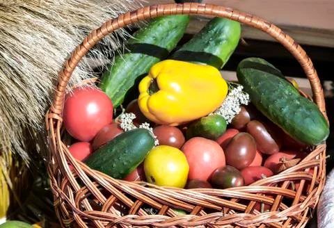 Wicker basket with vegetables. Stock Photos