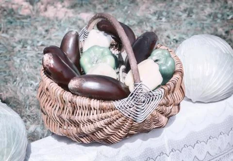 Wicker basket with vegetables. Stock Photos