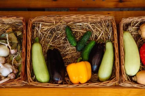 Wicker basket with vegetables. Stock Photos