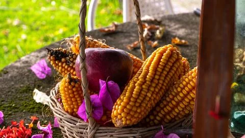 Wicker baskets containing corn cobs and a red apple Stock Photos