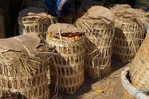 Wicker baskets of oranges Foto stock