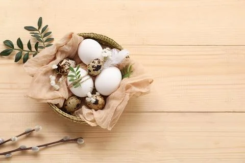 Wicker bowl with Easter eggs, leaves, gypsophila flowers and pussy willow bra Stock Photos