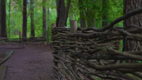 A wicker fence in the forest. Stockbeeldmateriaal 91042311