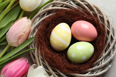 Wicker nest with painted Easter eggs and tulips on color background, top view Stock Photos