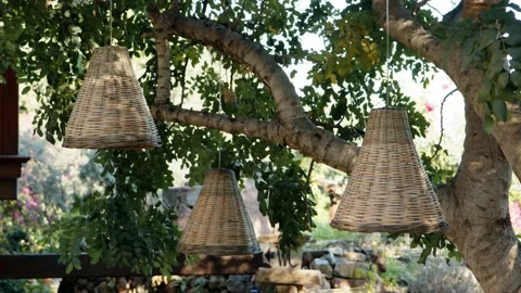 Wicker straw lamp hang from tree in park as decoration. Old-fashioned bulbs sway Video stock 226180346