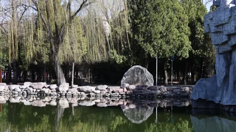 A wicker swaying in the wind Stock-Footage 346987068