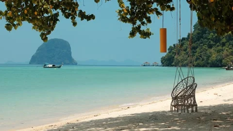 Wicker swing chair hanging from tree branch over white sand beach Stock-Footage 334411865
