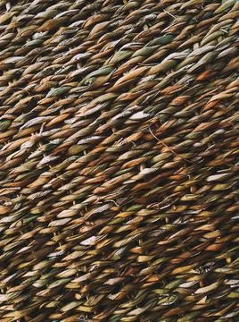 Wicker texture background, natural construction material and interior design 写真素材