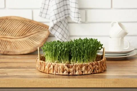 Wicker tray with fresh micro green on wooden table in kitchen, closeup Stock Photos