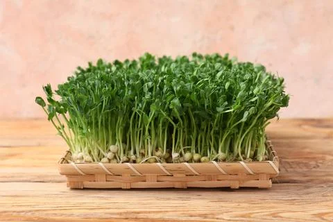 Wicker tray with fresh micro green on wooden table, closeup Stock Photos