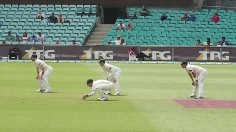 Wicket keeper catching the ball. Stock Footage 52336762
