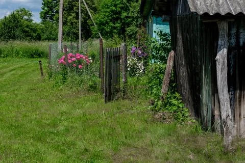 Wicket in a rustic garden. Stock Photos