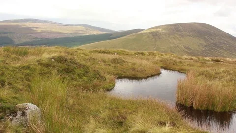 Wicklow mountains and bog Stock Footage 76810978