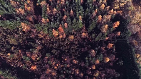 Wicklow Mountains.Sunset light. 스톡 동영상 99088884