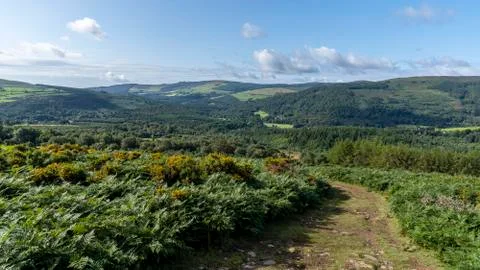 Wicklow way, county wicklow. Stock Photos